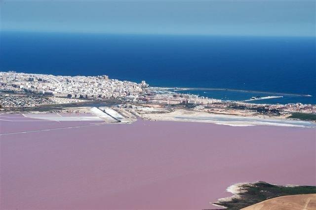 Apartment Parquemar La Mata  Pokój zdjęcie